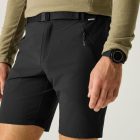 Regatta XertStretchShorts Férfi technikai short fekete