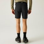 Regatta XertStretchShorts Férfi technikai short fekete