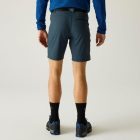 Regatta XertStretchShorts Férfi technikai short kék