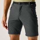 Regatta XertStchZ/OTrs Férfi túranadrág fekete