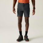 Regatta Mountain Shorts Férfi technikai short fekete