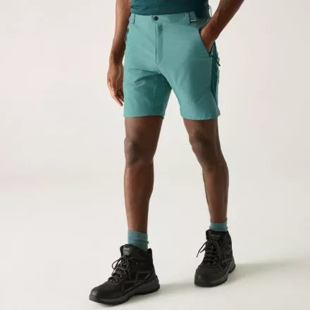 Regatta Mountain Shorts Férfi technikai short kék