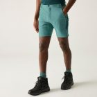 Regatta Mountain Shorts Férfi technikai short kék
