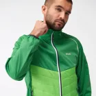 Regatta Steren Hybrid Férfi softshell kabát, mellény zöld