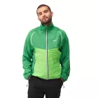 Regatta Steren Hybrid Férfi softshell kabát, mellény zöld