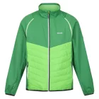 Regatta Steren Hybrid Férfi softshell kabát, mellény zöld