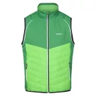 Regatta Steren Hybrid Férfi softshell kabát, mellény zöld