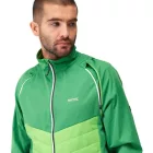 Regatta Steren Hybrid Férfi softshell kabát, mellény zöld