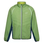 Regatta Steren II Hybrid Férfi hybrid softshell felső és mellény egyben zöld