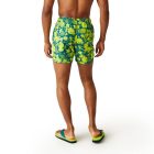 Regatta Loras Swim Short Férfi fürdő short zöld