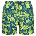 Regatta Loras Swim Short Férfi fürdő short zöld