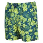 Regatta Loras Swim Short Férfi fürdő short zöld