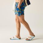 Regatta Loras Swim Short Férfi fürdő short kék