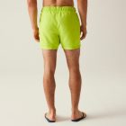 Regatta Mawson SwShortIII Férfi fürdő short zöld