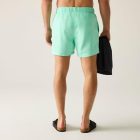 Regatta Mawson SwShortIII Férfi fürdő short zöld
