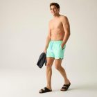 Regatta Mawson SwShortIII Férfi fürdő short zöld