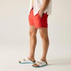 Regatta Mawson SwShortIII Férfi fürdő short piros