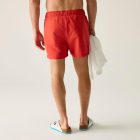 Regatta Mawson SwShortIII Férfi fürdő short piros