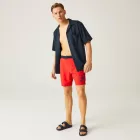 Regatta Benthamswimshort Férfi fürdőnadrág piros