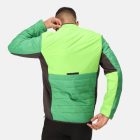 Regatta Halton VII Férfi steppelt kabát zöld