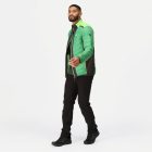 Regatta Halton VII Férfi steppelt kabát zöld