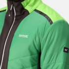 Regatta Halton VII Férfi steppelt kabát zöld