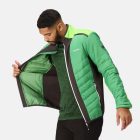 Regatta Halton VII Férfi steppelt kabát zöld