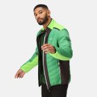 Regatta Halton VII Férfi steppelt kabát zöld