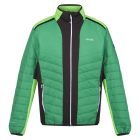 Regatta Halton VII Férfi steppelt kabát zöld