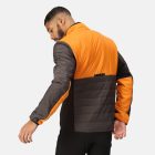 Regatta Halton VII Férfi steppelt kabát szürke