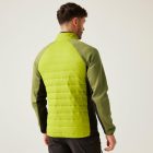 Regatta Clumber IV Hybrid Férfi hybrid felső zöld