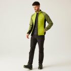 Regatta Clumber IV Hybrid Férfi hybrid felső zöld