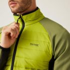 Regatta Clumber IV Hybrid Férfi hybrid felső zöld