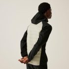 Regatta AndresonVIIIHybrd Férfi hybrid felső bézs