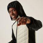 Regatta AndresonVIIIHybrd Férfi hybrid felső bézs