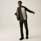 Regatta AndresonVIIIHybrd Férfi hybrid felső bézs