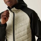 Regatta AndresonVIIIHybrd Férfi hybrid felső bézs