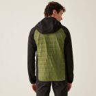 Regatta AndresonVIIIHybrd Férfi hybrid felső zöld