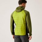 Regatta AndresonVIIIHybrd Férfi hybrid felső zöld