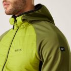 Regatta AndresonVIIIHybrd Férfi hybrid felső zöld