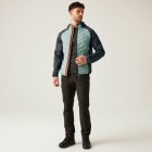 Regatta AndresonVIIIHybrd Férfi hybrid felső zöld