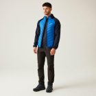 Regatta AndresonVIIIHybrd Férfi hybrid felső kék