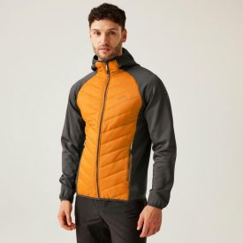 Regatta AndresonVIIIHybrd Férfi hybrid felső narancs