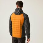 Regatta AndresonVIIIHybrd Férfi hybrid felső narancs