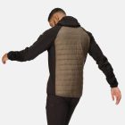 Regatta AndresonVIIIHybrd Férfi hybrid felső barna