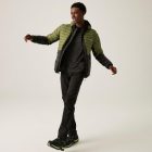 Regatta HoodedLeedreHybrd Férfi steppelt kabát zöld