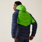 Regatta Hooded Dalent Férfi steppelt kabát kék