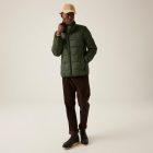 Regatta Wilnor Férfi könnyû steppelt kabát zöld