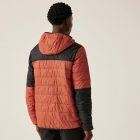 Regatta HoodedHillpackIII Férfi könnyû steppelt kabát barna