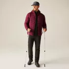 Regatta Asper Férfi  bélelt kabát bordó